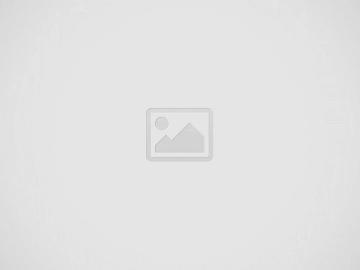 Помазок - разные типы ворса.